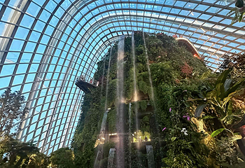 新加坡滨海湾花园第 463 张图片