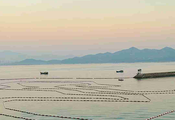 海上世界第 28 张图片