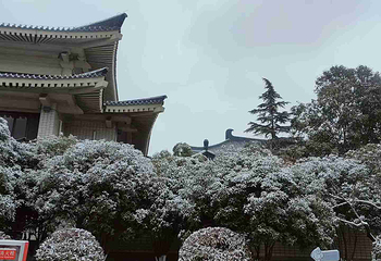陕西历史博物馆第 436 张图片