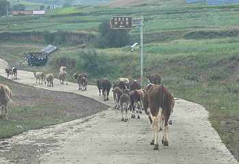 百里天路第 40 张图片