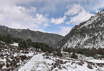祁连山冰沟河景区第 89 张图片