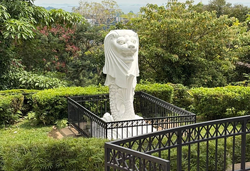 花柏山公园第 128 张图片