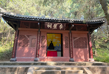 翠云廊第 7 张图片
