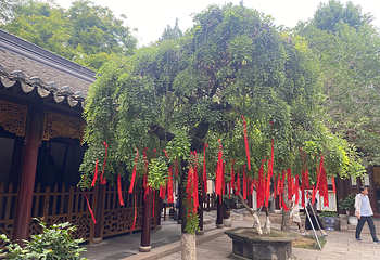 寒山寺第 130 张图片