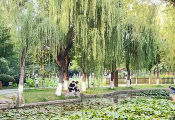 莫愁湖公园第 12 张图片
