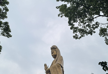 普陀山风景区第 311 张图片