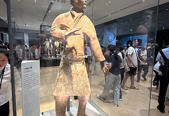 秦始皇帝陵博物院(兵马俑)第 470 张图片