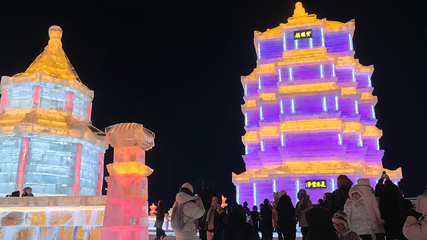 哈尔滨冰雪大世界第 355 张图片
