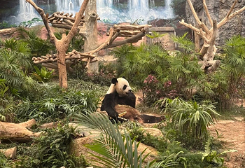 石排湾郊野公园第 46 张图片