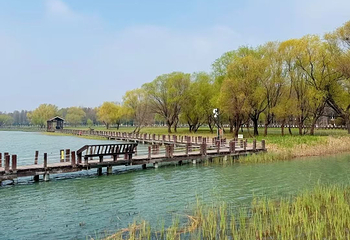苏州太湖国家湿地公园第 29 张图片