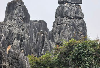 石林风景区第 196 张图片
