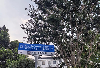 七宝古镇第 57 张图片