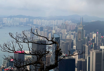 太平山顶第 194 张图片