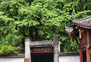宽窄巷子第 115 张图片