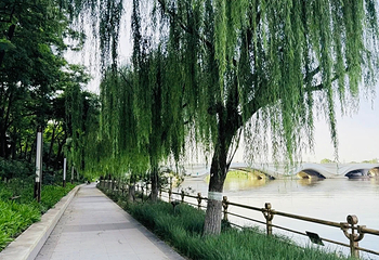 北京(通州)大运河文化旅游景区第 29 张图片