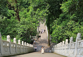 乐山大佛第 245 张图片