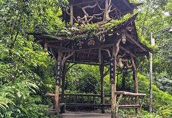 青城山第 230 张图片