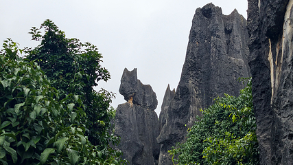 石林风景区第 206 张图片