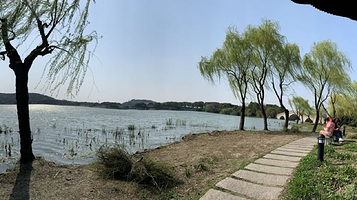 渤公岛生态公园-幽居