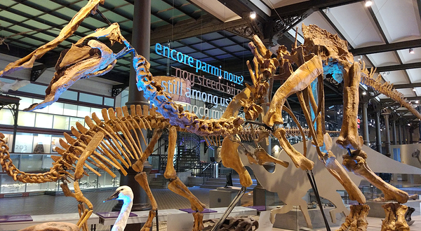 自然科学博物馆