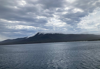Coles Bay Jetty第 18 张图片