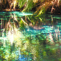 Kikuletwa Hotsprings