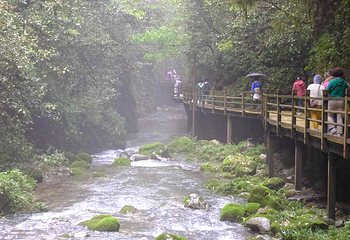 张家界大峡谷第 64 张图片