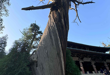 晋祠博物馆第 342 张图片