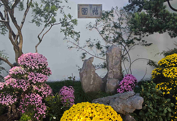 怡园第 32 张图片
