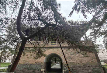 小雁塔遗址公园第 65 张图片
