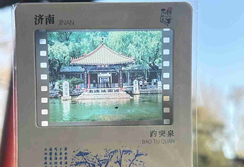 趵突泉景区第 289 张图片