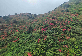 江西武功山国家风景名胜区第 18 张图片