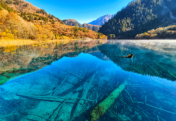 九寨沟风景区第 63 张图片
