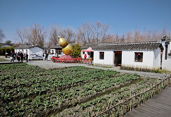 溱湖国家湿地公园第 22 张图片