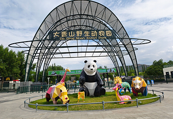 大青山野生动物园第 12 张图片