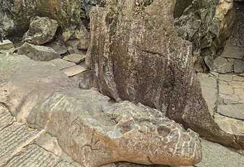 石林风景区第 221 张图片