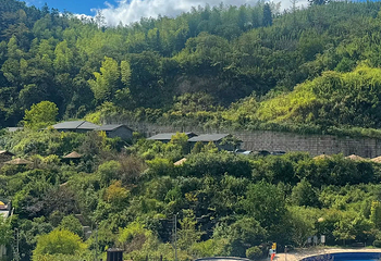 大盘山温泉山庄第 18 张图片