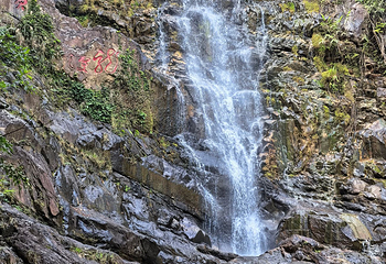 鼎湖山第 46 张图片