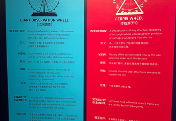 新加坡摩天观景轮第 99 张图片