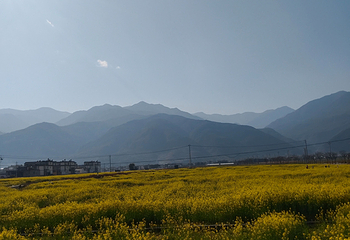 苍山第 202 张图片