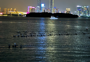 金鸡湖第 197 张图片