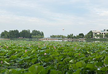 东湖生态旅游风景区第 21 张图片