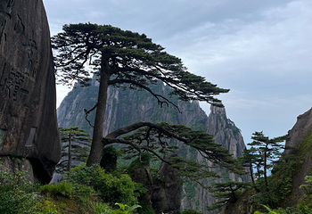 黄山风景区第 96 张图片