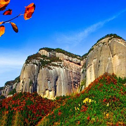 薛家寨革命旧址