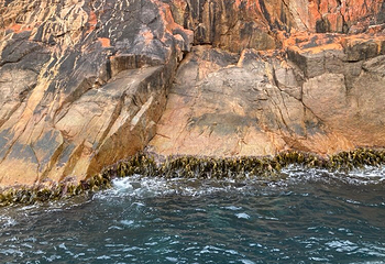 Coles Bay Jetty第 5 张图片