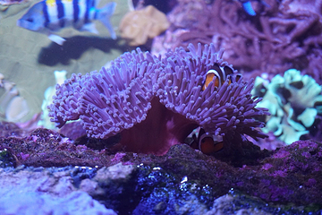 塞维利亚水族馆第 8 张图片
