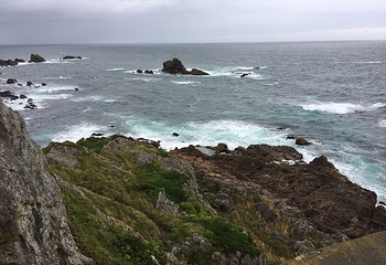 种差海岸第 17 张图片