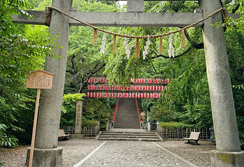 国宝 大崎八幡神社第 11 张图片