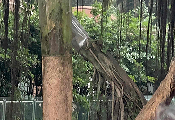 重庆动物园第 96 张图片
