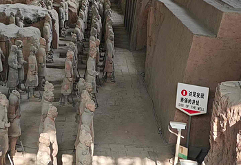 秦始皇帝陵博物院(兵马俑)第 623 张图片